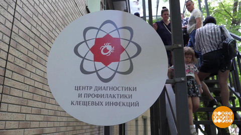 Осторожно, боррелиоз! Доброе утро. Суббота. Фрагмент