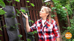 Грядки: гонки по вертикали. Доброе утро. Суббота. Фрагмент