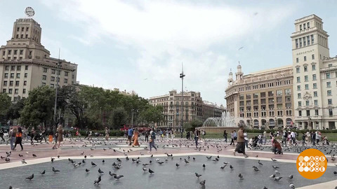 Голуби летят над Барселоной... Доброе утро. Фрагмент