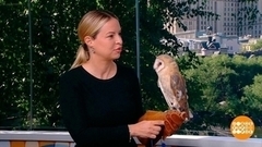 Светлана Акулова – о совах и «жаворонках». Доброе утро. Фрагмент