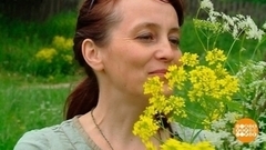 Аромат июльских трав. Доброе утро. Фрагмент