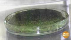 «Наука и университеты». Доброе утро. Фрагмент