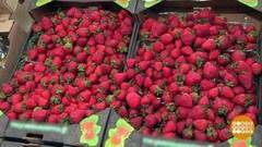 Спасите наши продукты! Доброе утро. Фрагмент