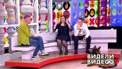 Кот и бутерброд, лягушка вместо жабы, овчарка и шкаф. Видели видео? Часть 2