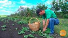 Ну, ты лопух! Доброе утро. Фрагмент