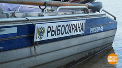 Браконьеры не пройдут! Доброе утро. Фрагмент