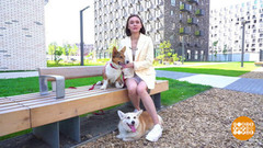 Дачная аптечка для животных. Доброе утро. Суббота. Фрагмент