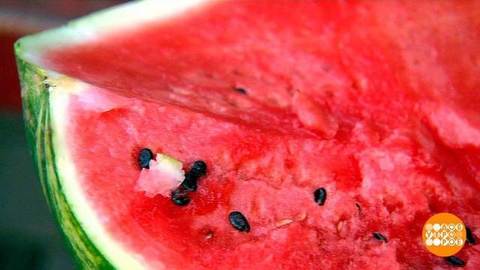 Народные способы выбора арбуза. Доброе утро. Фрагмент