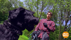 Учим собаку выдержке. Доброе утро. Фрагмент