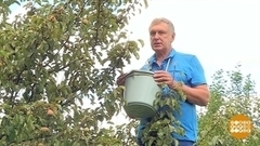 Во что собирать урожай? Доброе утро. Фрагмент