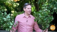 Юрий Батурин: фирма веники… вяжет! Доброе утро. Суббота. Фрагмент