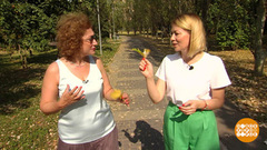 Скоро в школу. Родители, не паникуйте! Доброе утро. Фрагмент