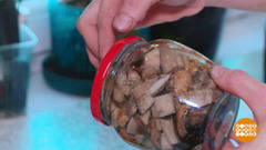 Готовим грибы правильно. А то плохо будет... Доброе утро. Фрагмент