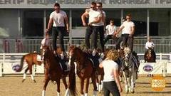 Джигитовка, фланкировка… и просто красивые лошади! Доброе утро. Фрагмент