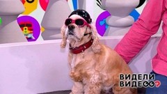 Видели видео? Анонс