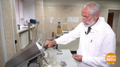 Наука в ВУЗах: талантам надо помогать. Доброе утро. Фрагмент