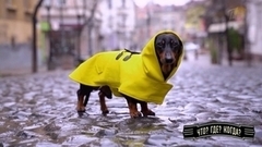 Что? Где? Когда? Осенняя серия игр. Анонс