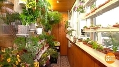 Пора расхламлять балконы. Доброе утро. Фрагмент