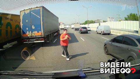 Водитель для котенка. Видели видео? Фрагмент