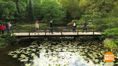 Ботанический сад – всем садам сад! Доброе утро. Фрагмент