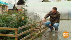 Готовим дачный участок к зиме. Доброе утро. Фрагмент