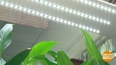 Выбираем фитолампу: а что там с диапазоном? Доброе утро. Фрагмент