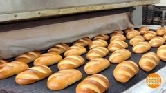 Вкусного хлеба будет много! Доброе утро. Фрагмент