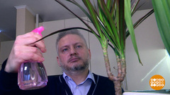 Увлажняем воздух в квартире. Доброе утро. Фрагмент