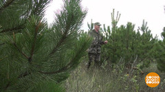 Родилась елочка… Где? Доброе утро. Суббота. Фрагмент