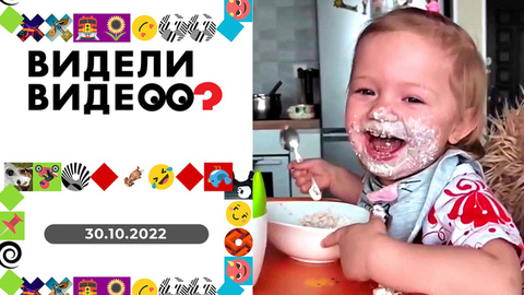 Говорящий скворец, модница в зеленом платье, любитель фруктов. Видели видео?
