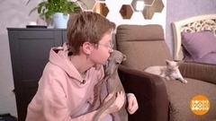 Собака меняет хозяев. Доброе утро. Фрагмент