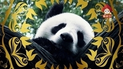 Телеканал «Катюша»