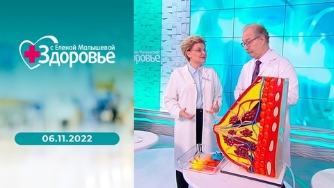 Мужское здоровье; имунитет ребенка; лечение суставов; продукты, которые продлевают и укорачивают жизнь. Здоровье