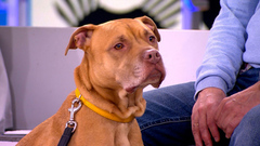 Видели видео? Анонс