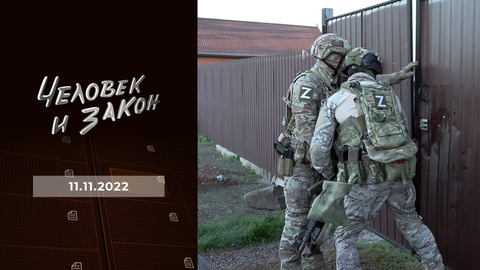 Историческое расследование; как работает полиция; история одного похищения и убийства; мошенники на доверии. Человек и закон