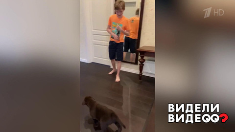 История чудесного спасения. Видели видео? Фрагмент