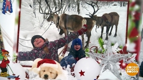 «Елка желаний»: стать волшебником может каждый! Доброе утро. Фрагмент