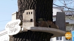 Кормушки для птиц. Креативно! Доброе утро. Суббота. Фрагмент