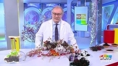 Жить здорово! Анонс