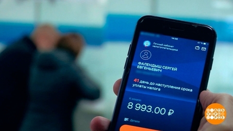 Успеть до 1 декабря: налоги, долги по ЖКХ, выплаты. Доброе утро. Фрагмент