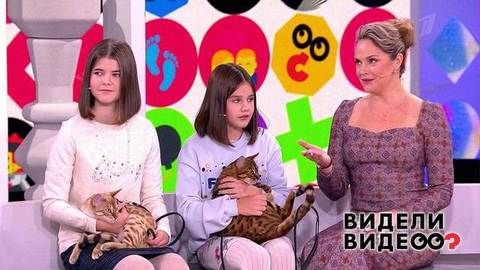Видели видео? Анонс
