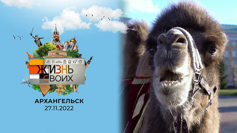 Архангельск. Жизнь своих
