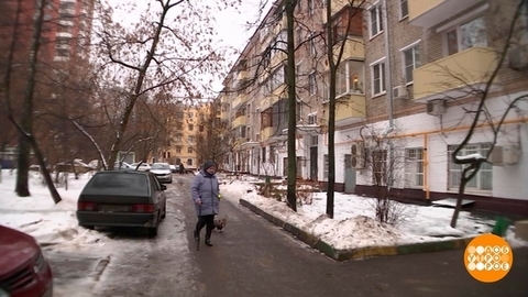 На каком этаже жить хорошо? Доброе утро. Фрагмент