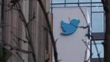 Владелец Twitter Илон Маск опубликовал ссылку на расследование журналиста Мэтта Тэйби