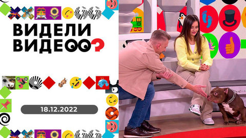Сеанс психотерапии, дело об испорченном авокадо, мысли вслух и сам себе парикмахер. Видели видео?