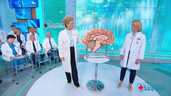 Инсульт: время для спасения. Здоровье. Фрагмент