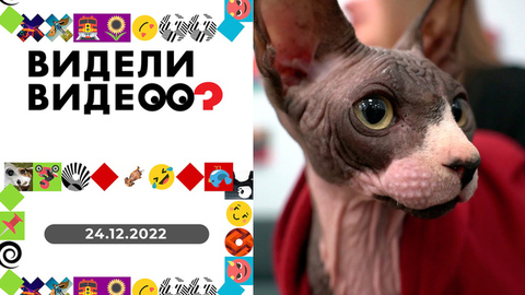 Не дом, а дырка от бублика; демонтаж бесплатно без вашего согласия; приключения электронщиц; подружка графа Дракулы. Видели видео?