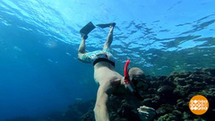 Отпуск-2023: пора бронировать туры? Доброе утро. Фрагмент