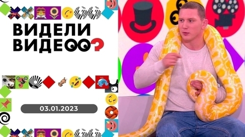 Харизматичный блогер, спасение воробья, чихуахуа с печальными глазами. Видели видео?
