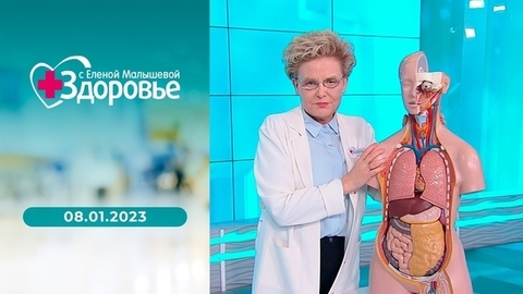 Жизнь после Нового года; назальная вакцина против ковида; рак щитовидки; продукты с кислым вкусом; патчи для глаз. Здоровье